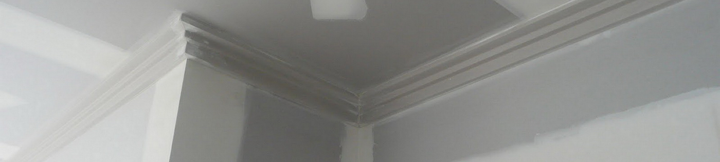 Professional Primers-Undercoats-Ceilings