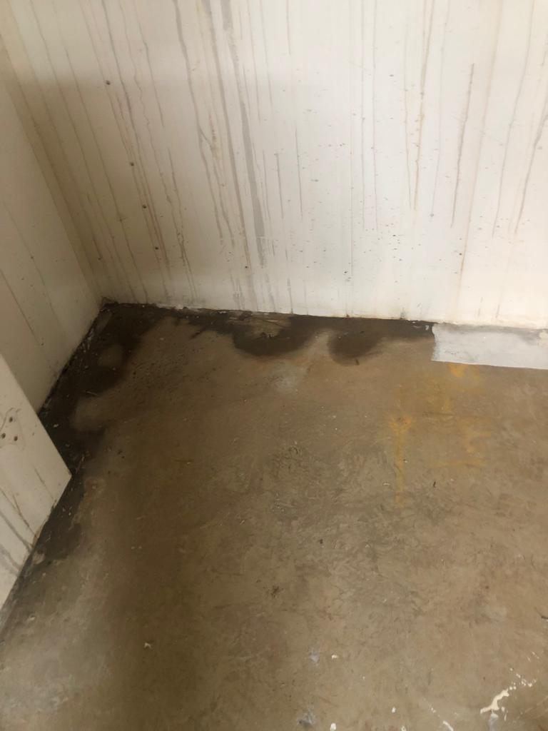 Waterproof Render – Wallmaster Paint by Astec Paint