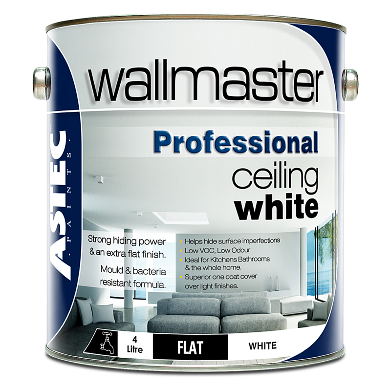 Wallmaster Paints Professional Ceiling White Paint